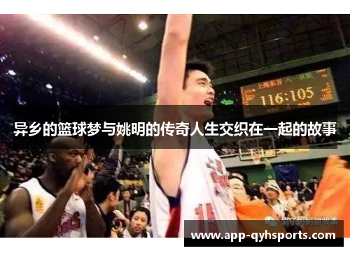 异乡的篮球梦与姚明的传奇人生交织在一起的故事